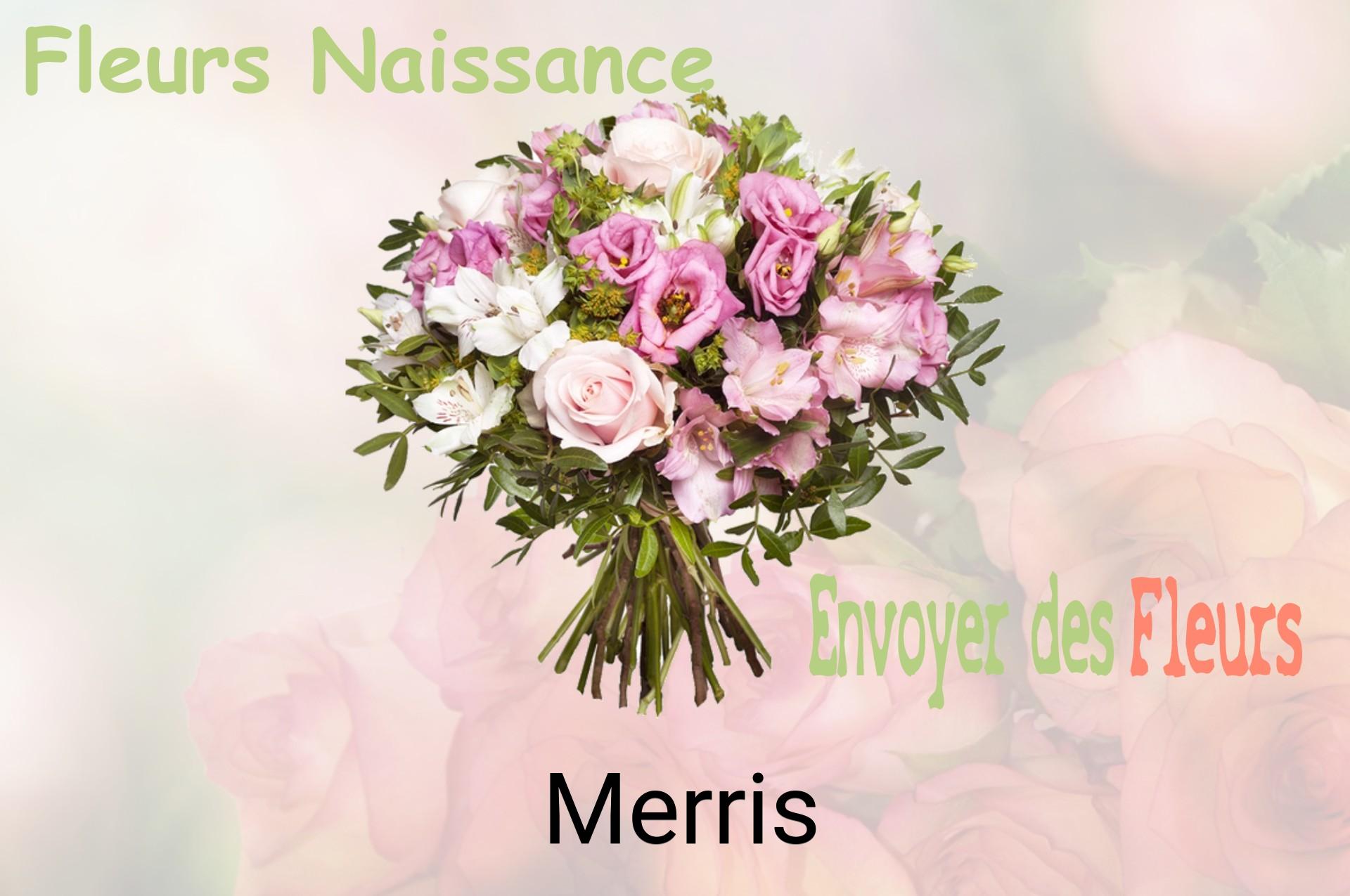 Bouquet de fleurs de naissance livré à Merris