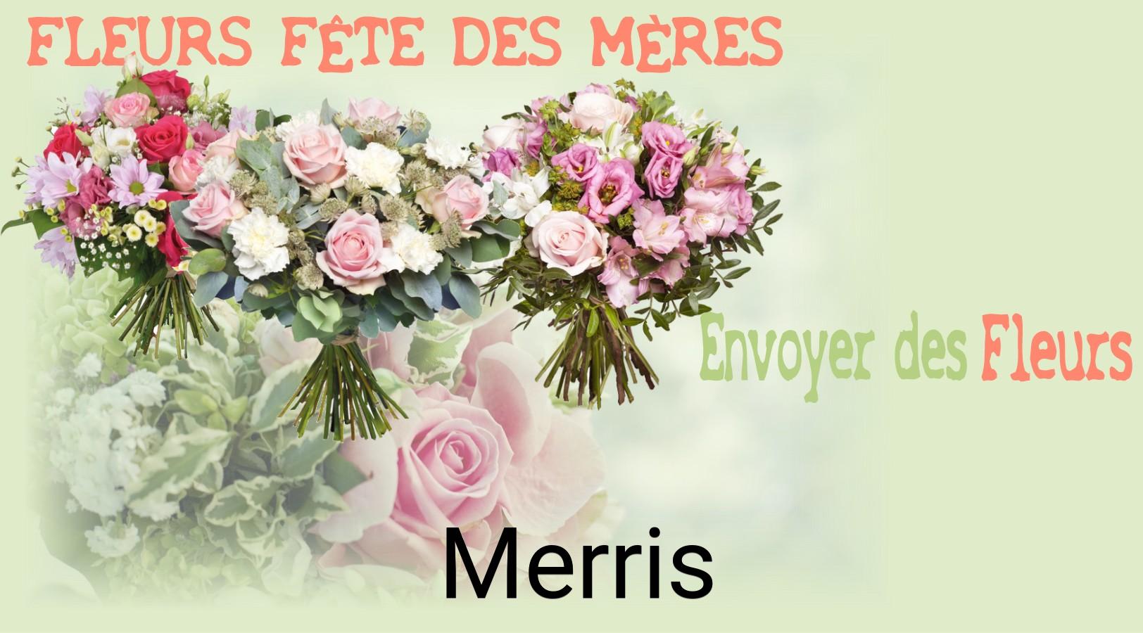 Bouquet de Fête des Mères livré à Merris